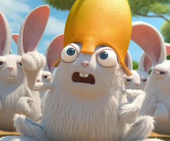 Les as de la jungle à la rescousse - 14/11/2025