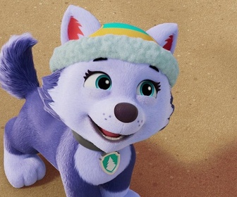 Paw Patrol, la Pat'Patrouille - Les surfeurs des montagnes