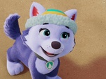 Paw Patrol, la Pat'Patrouille
