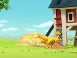 Dino Ranch