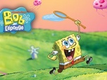 Bob l'éponge Bob l'éponge