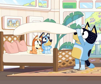 Bluey - 31/07/2026