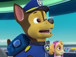 Paw Patrol, la Pat'Patrouille Paw Patrol, la Pat'Patrouille