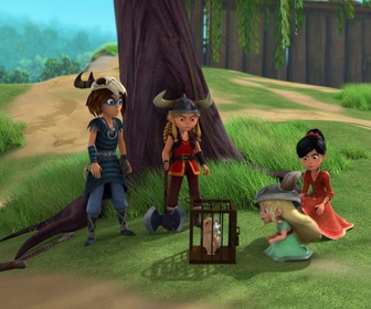 Robin des Bois : Malice à Sherwood - Robin des bois - Hamster et dragon