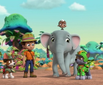 Paw Patrol, la Pat'Patrouille - Mission Jungle : Les fourmis géantes