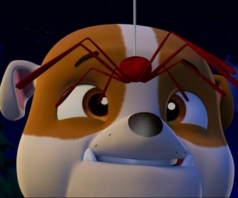 Paw Patrol, la Pat'Patrouille - La Pat'Patrouille au secours de Jake