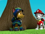 Paw Patrol, la Pat'Patrouille