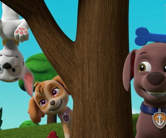 Paw Patrol, la Pat'Patrouille - La tulipe poule