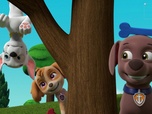 Paw Patrol, la Pat'Patrouille