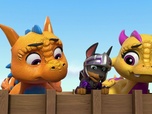 Paw Patrol, la Pat'Patrouille