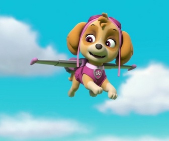 Paw Patrol, la Pat'Patrouille - Le baleineau