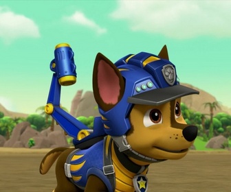 Paw Patrol, la Pat'Patrouille - Mission Dino : Le ptérodactyle