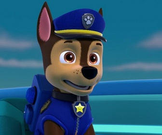 Paw Patrol, la Pat'Patrouille - Leçon de ski nautique