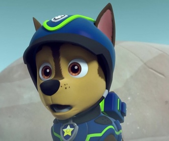 Paw Patrol, la Pat'Patrouille - Les mésanges charbonnières