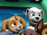 Paw Patrol, la Pat'Patrouille