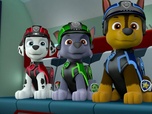 Paw Patrol, la Pat'Patrouille
