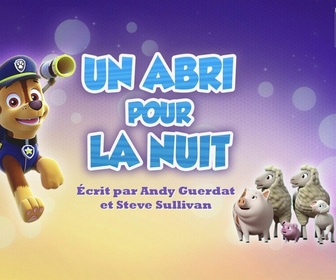 Paw Patrol, la Pat'Patrouille - Un abri pour la nuit