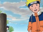 Naruto Naruto