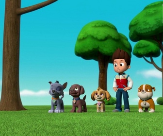Paw Patrol, la Pat'Patrouille - La Pat'Patrouille sauve les pirates