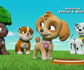 Paw Patrol, la Pat'Patrouille - Dans la peau de Galinetta
