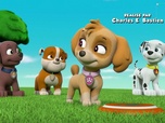 Paw Patrol, la Pat'Patrouille