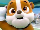 Paw Patrol, la Pat'Patrouille Paw Patrol, la Pat'Patrouille
