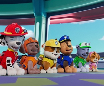 Paw Patrol, la Pat'Patrouille - La grande tombola