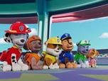 Paw Patrol, la Pat'Patrouille