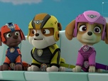 Paw Patrol, la Pat'Patrouille