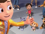 Paw Patrol, la Pat'Patrouille