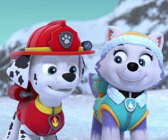 Paw Patrol, la Pat'Patrouille - L'oursonne polaire