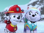 Paw Patrol, la Pat'Patrouille Paw Patrol, la Pat'Patrouille