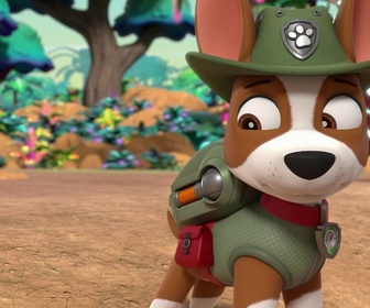 Paw Patrol, la Pat'Patrouille - Mission Jungle : Une grande découverte