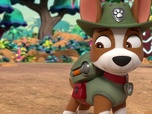 Paw Patrol, la Pat'Patrouille