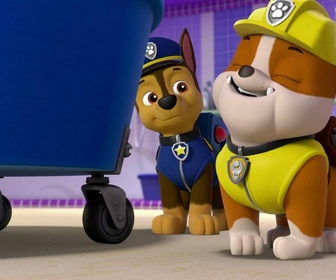 Paw Patrol, la Pat'Patrouille - Des ours dans la ville