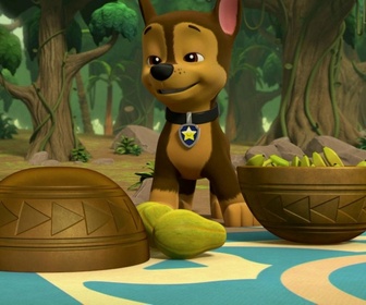 Paw Patrol, la Pat'Patrouille - A la rescousse des trois singes