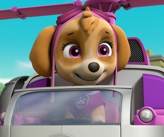 Paw Patrol, la Pat'Patrouille - A la recherche du sac perdu