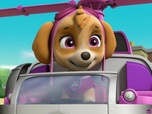 Paw Patrol, la Pat'Patrouille Paw Patrol, la Pat'Patrouille