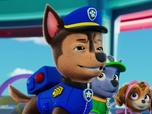 Paw Patrol, la Pat'Patrouille Paw Patrol, la Pat'Patrouille