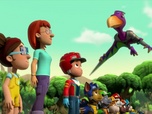 Paw Patrol, la Pat'Patrouille Paw Patrol, la Pat'Patrouille