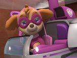 Paw Patrol, la Pat'Patrouille