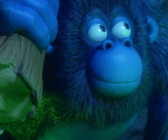 Les as de la jungle à la rescousse - 14/01/2026