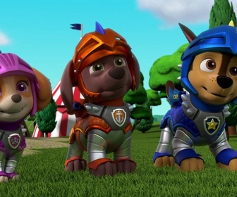 Compilation Paw Patrol, la Pat'Patrouille 14
