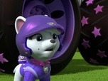Paw Patrol, la Pat'Patrouille