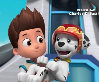 Paw Patrol, la Pat'Patrouille - Panique à la fête foraine