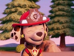 Paw Patrol, la Pat'Patrouille Paw Patrol, la Pat'Patrouille