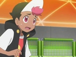 Pokémon Pokémon