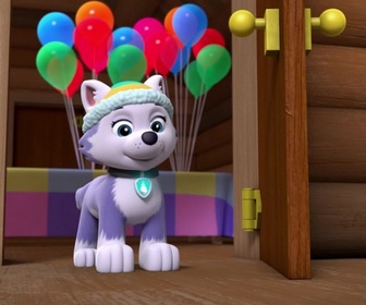 Paw Patrol, la Pat'Patrouille - Le gâteau de Jake
