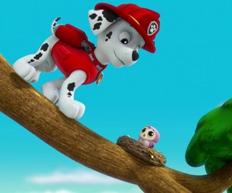 Paw Patrol, la Pat'Patrouille - Le collier porte-bonheur