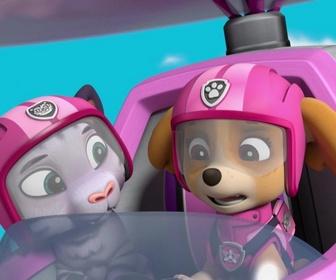 Paw Patrol, la Pat'Patrouille - Sauvetage Extrême : Les Tigres Blancs